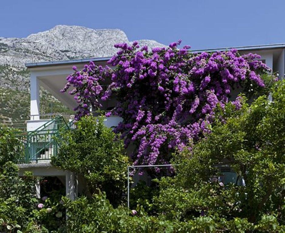 House Marta Apartment Baska Voda Exterior photo